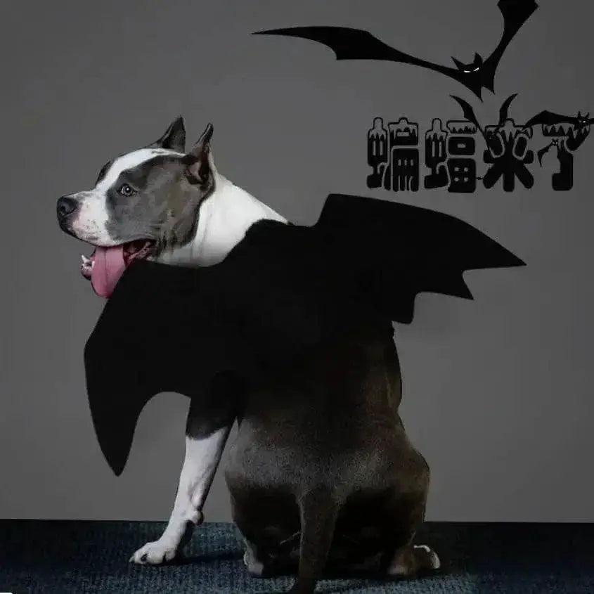  Bat Wings Halloween Costume for Pets - Fun Costume for Cats & Dogs -  ToylandEU™
