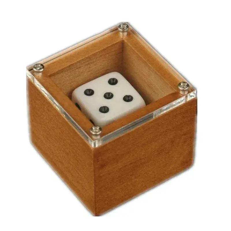 Beginner Friendly Magic Dice Prop For Stage Illusion - ToylandEU