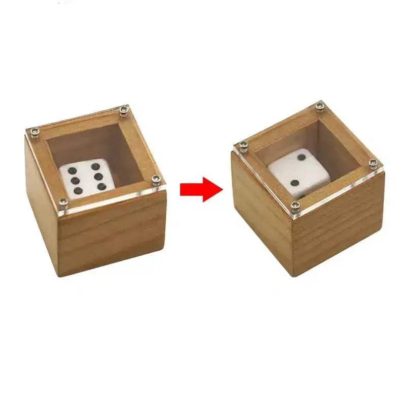 Beginner Friendly Magic Dice Prop For Stage Illusion - ToylandEU