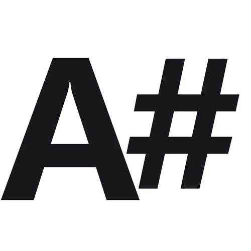 Beginner's 24-Hole C Key Tremolo Harmonica - Elegant & High-Quality Sound - ToylandEU