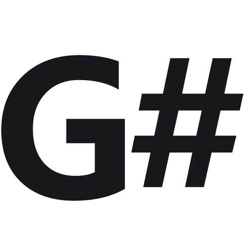 Beginner's 24-Hole C Key Tremolo Harmonica - Elegant & High-Quality Sound - ToylandEU