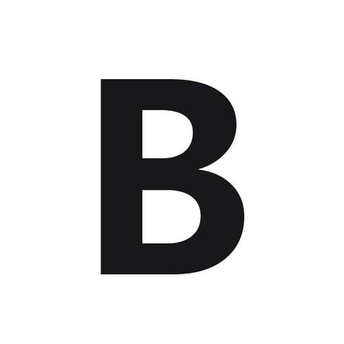 Beginner's 24-Hole C Key Tremolo Harmonica - Elegant & High-Quality Sound - ToylandEU