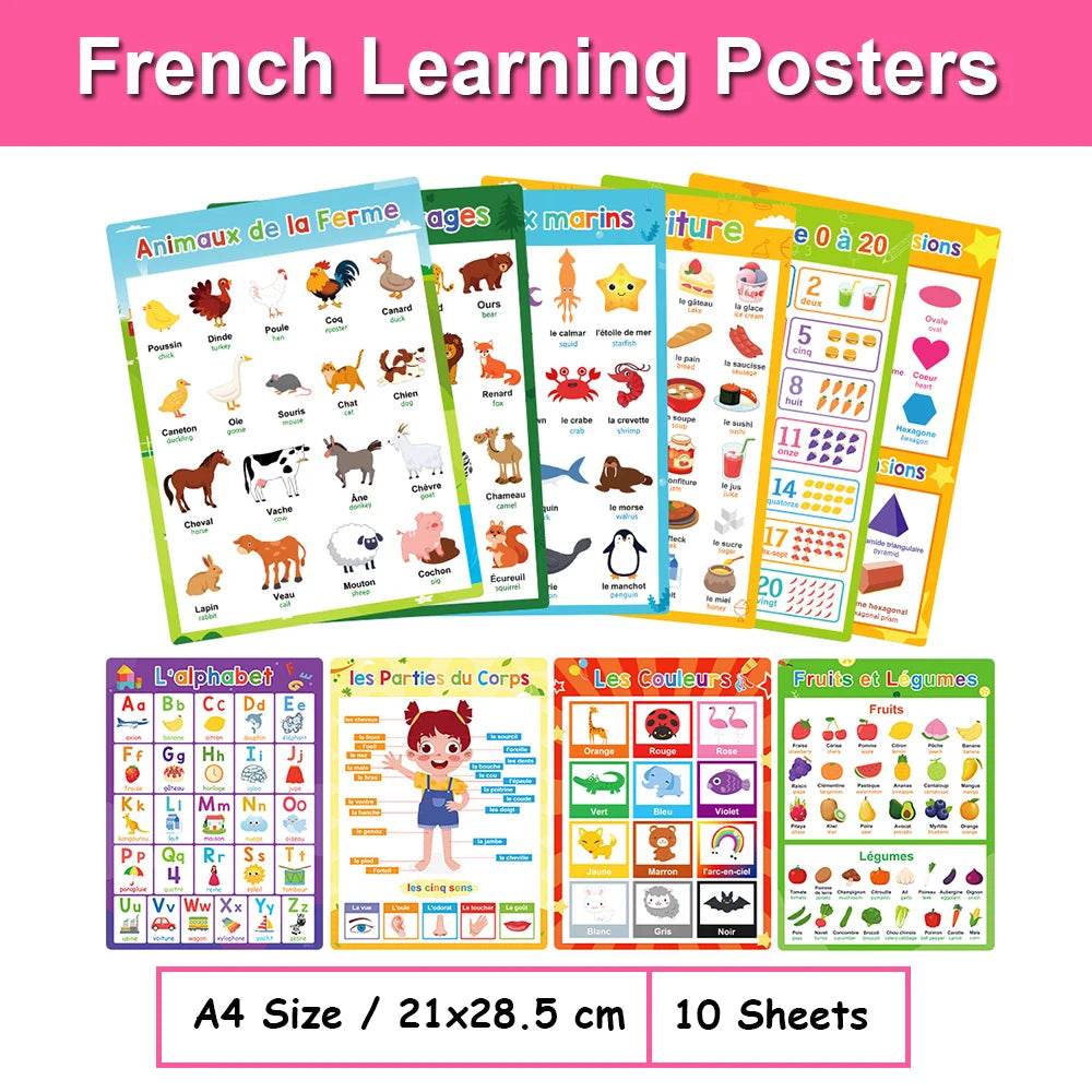 Bilingual Language Posters French English Kindergarten - ToylandEU