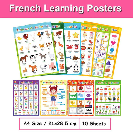 Bilingual Language Posters French English Kindergarten - ToylandEU