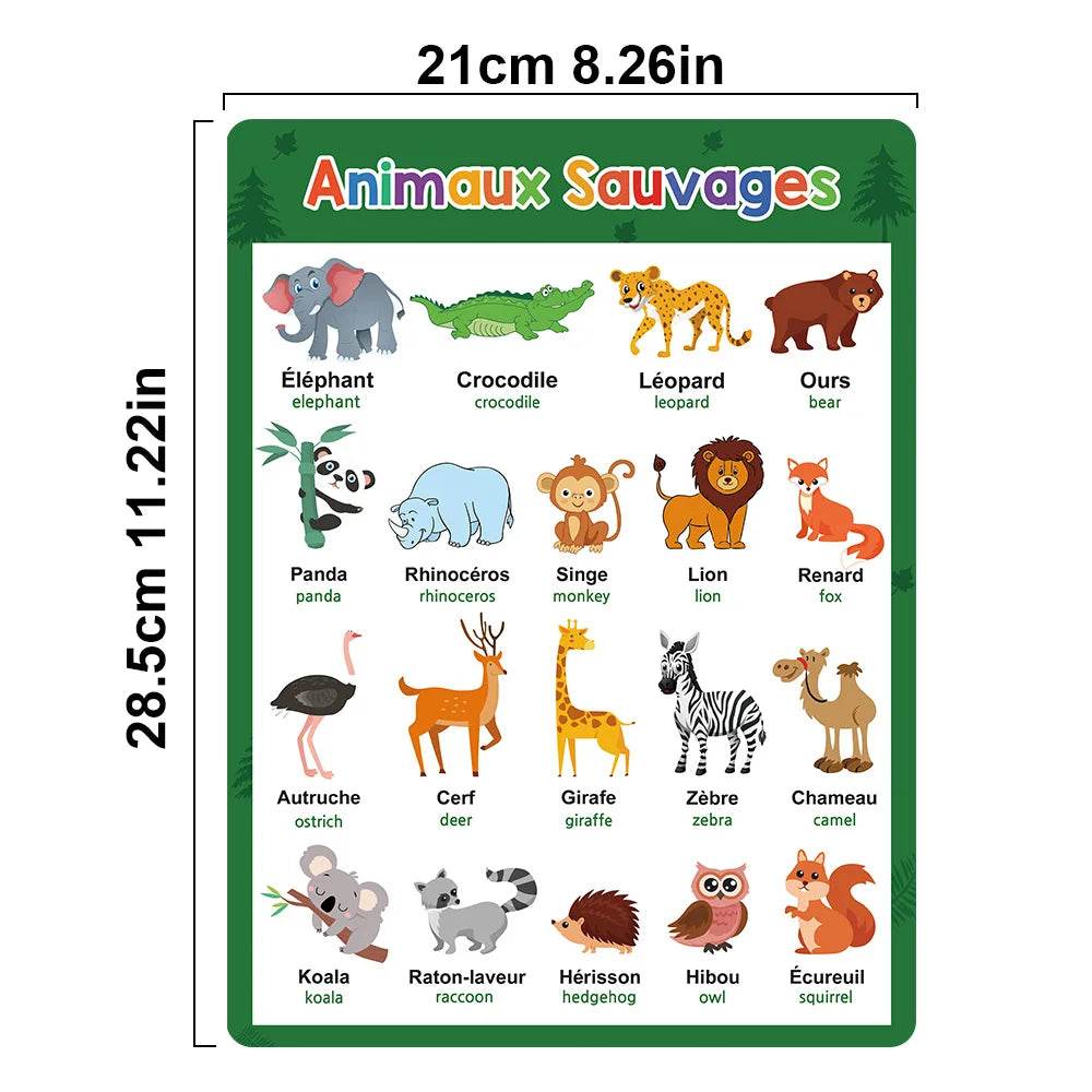 Bilingual Language Posters French English Kindergarten - ToylandEU