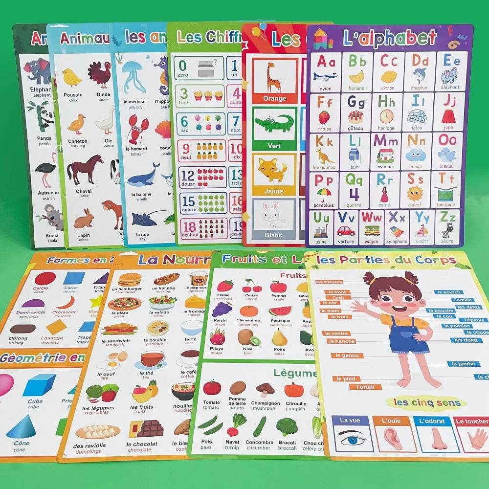 Bilingual Language Posters French English Kindergarten - ToylandEU