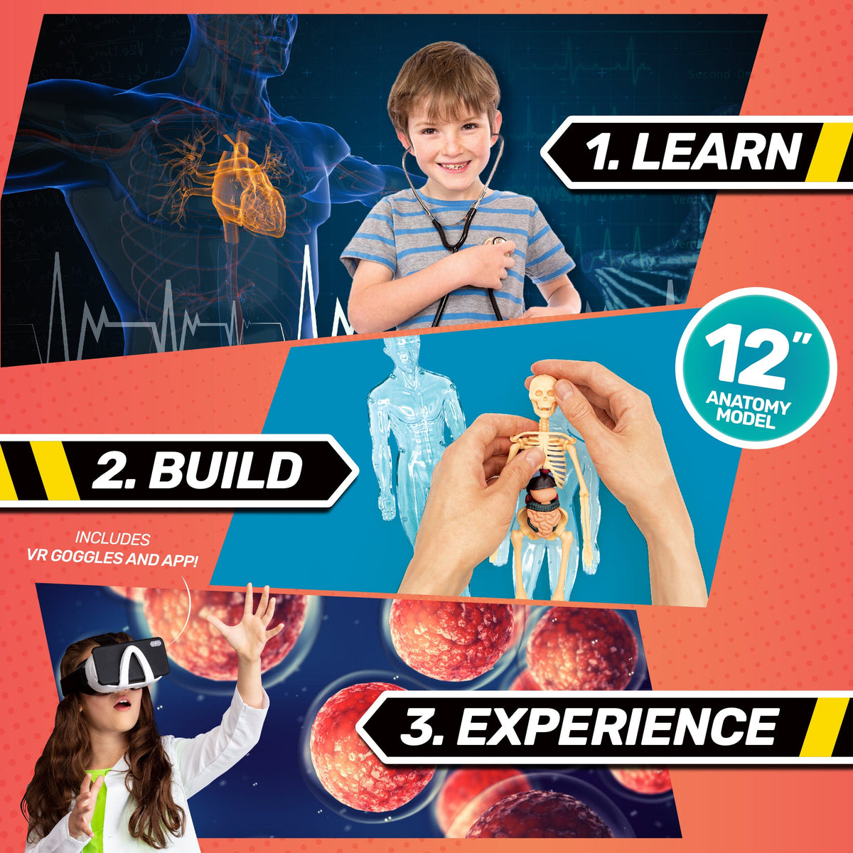 Bill Nye VR Kit | Interactive Human Body Experience | Toylandeu™