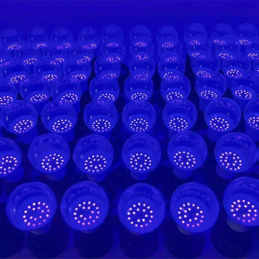 Black Light Bulb | 12W E27 | Toylandeu™
