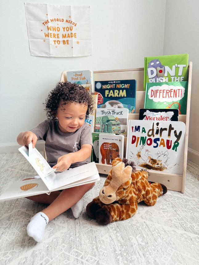 Bookshelf | Hidden Back Storage | Toylandeu™
