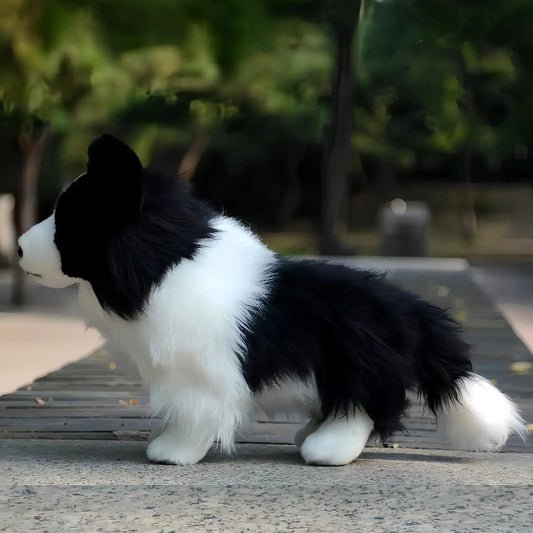  Border Collie Plush Toy Realistic Safe For Kids -  ToylandEU™