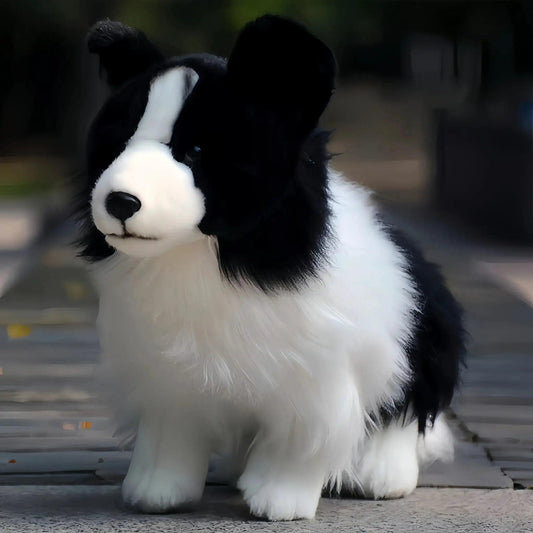  Border Collie Plush Toy Realistic Safe For Kids -  ToylandEU™