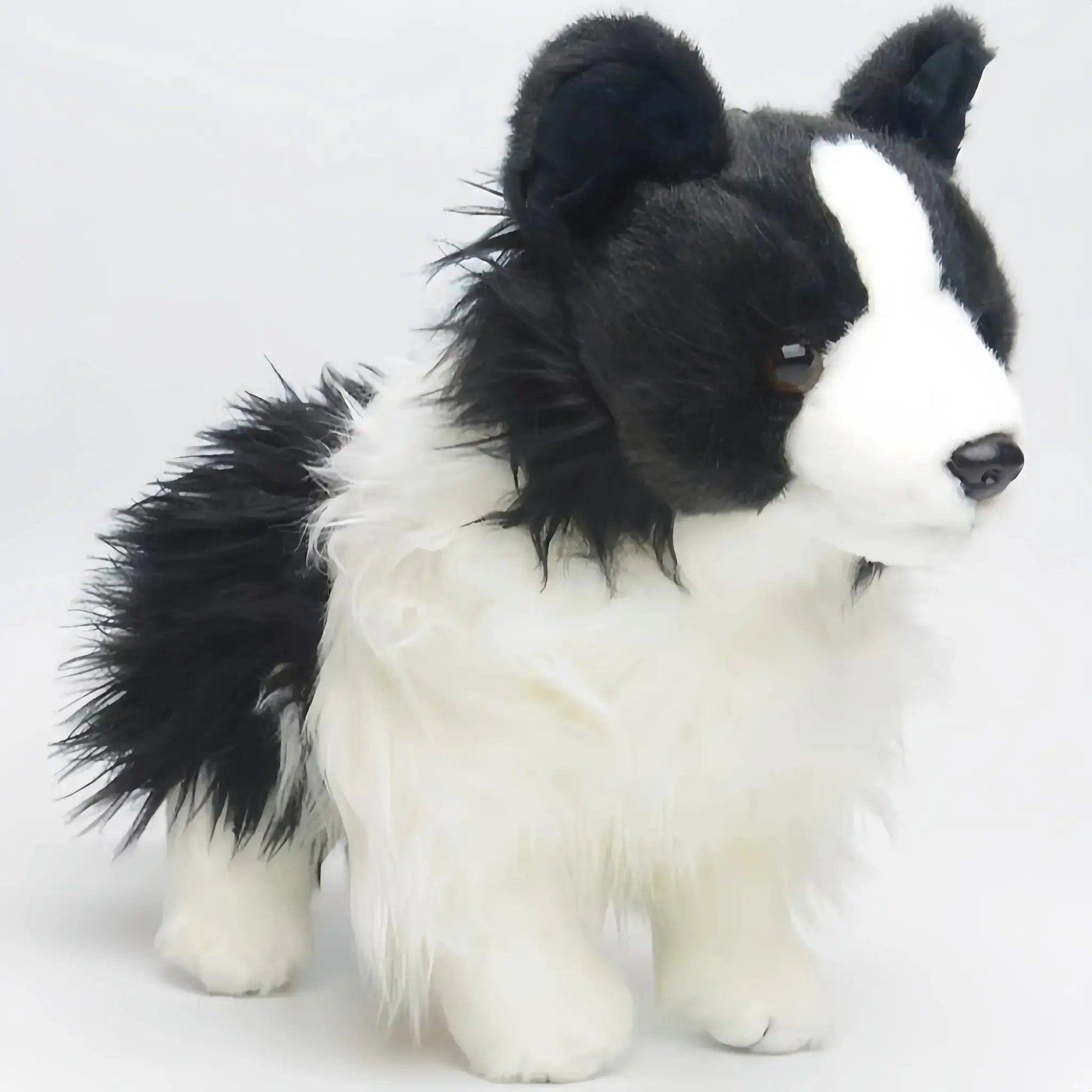  Border Collie Plush Toy Realistic Safe For Kids -  ToylandEU™