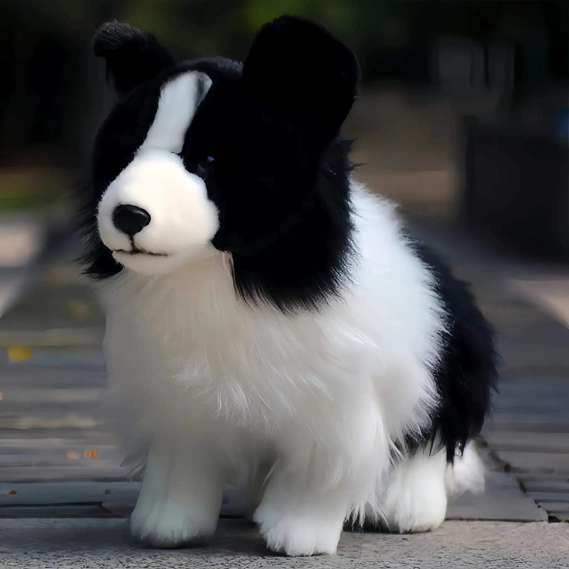 Border Collie Plush Toy Realistic Soft Gift For Kids - ToylandEU