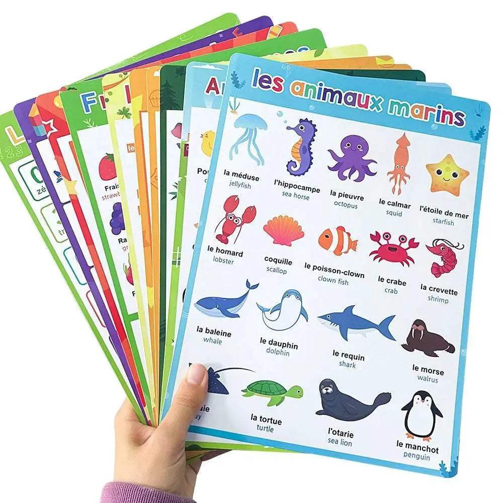  Bright Bilingual Language Posters CE Toyland EU -  ToylandEU™