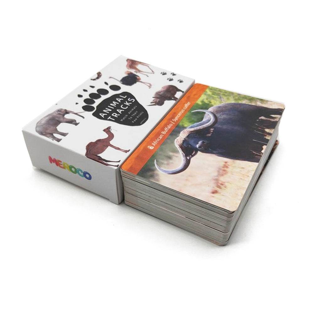 بطاقات تعليمية تفاعلية لتعلم مسارات الحيوانات: إتقان اللغة الإنجليزية على طريقة مونتيسوري للأطفال الصغار - ToylandEU