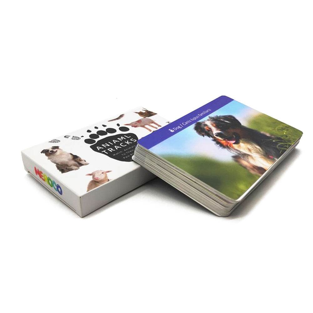 بطاقات تعليمية تفاعلية لتعلم مسارات الحيوانات: إتقان اللغة الإنجليزية على طريقة مونتيسوري للأطفال الصغار - ToylandEU