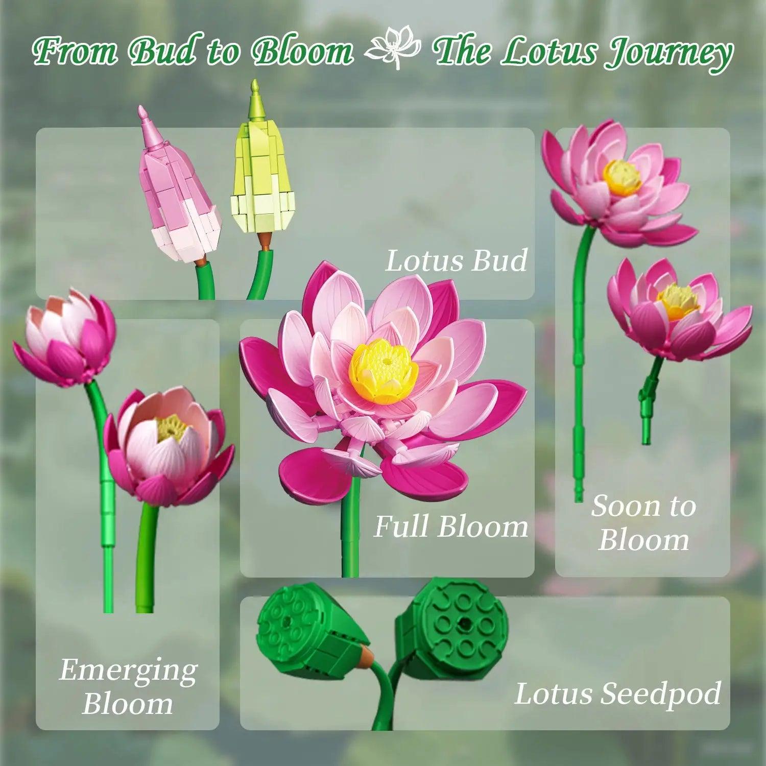  Lotus Flower Building Blocks Bouquet Premium Desktop Decor -  ToylandEU™