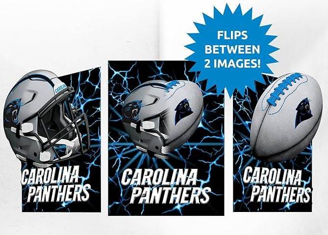 Carolina Panthers 3D Art Print 12x16 Lightning Flip - ToylandEU
