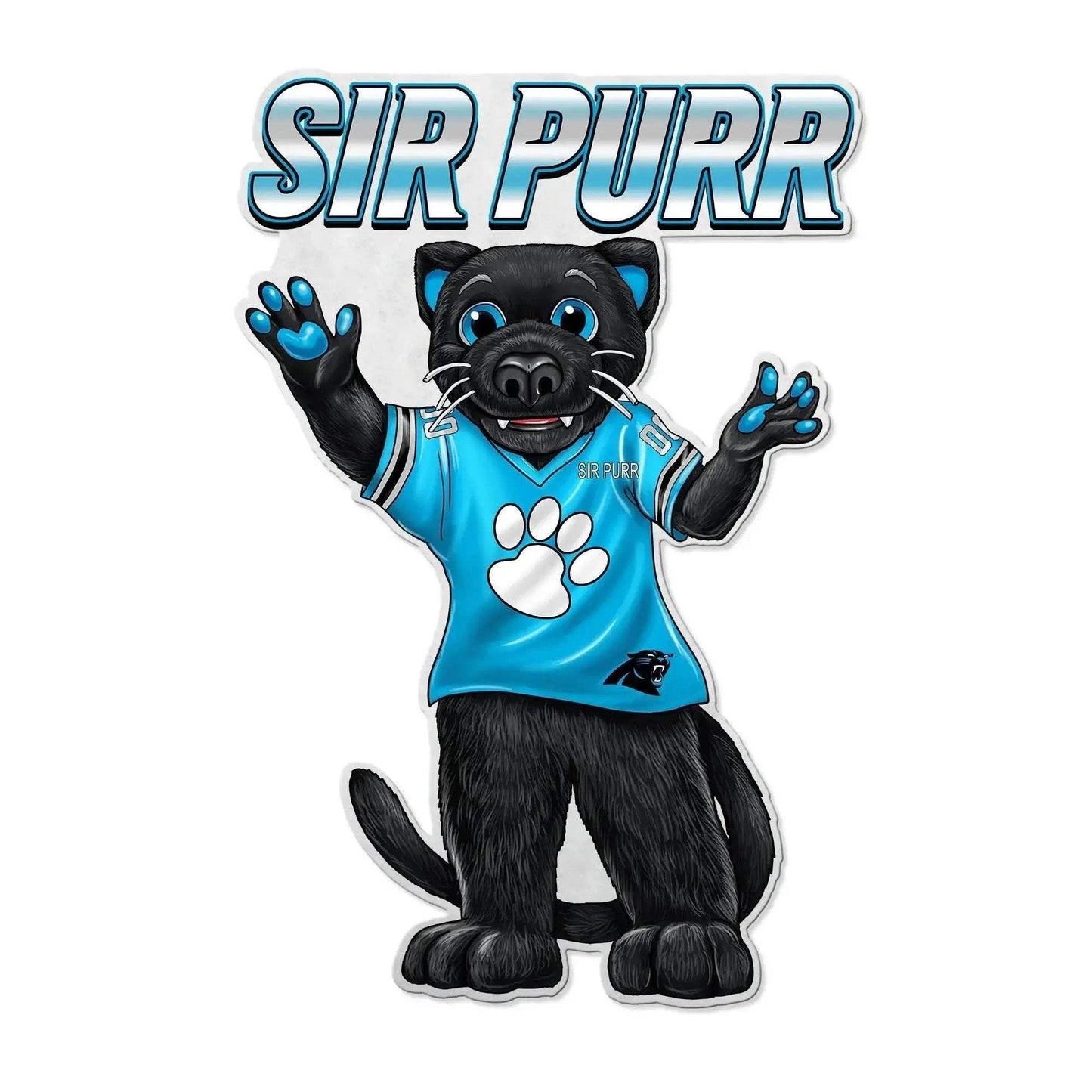  Carolina Panthers Pennant Felt Mascot Design Home Decor -  ToylandEU™