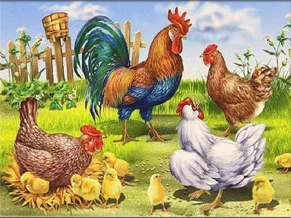  Chicken Cross Stitch Kit 11CT Printed Canvas Starter -  ToylandEU™