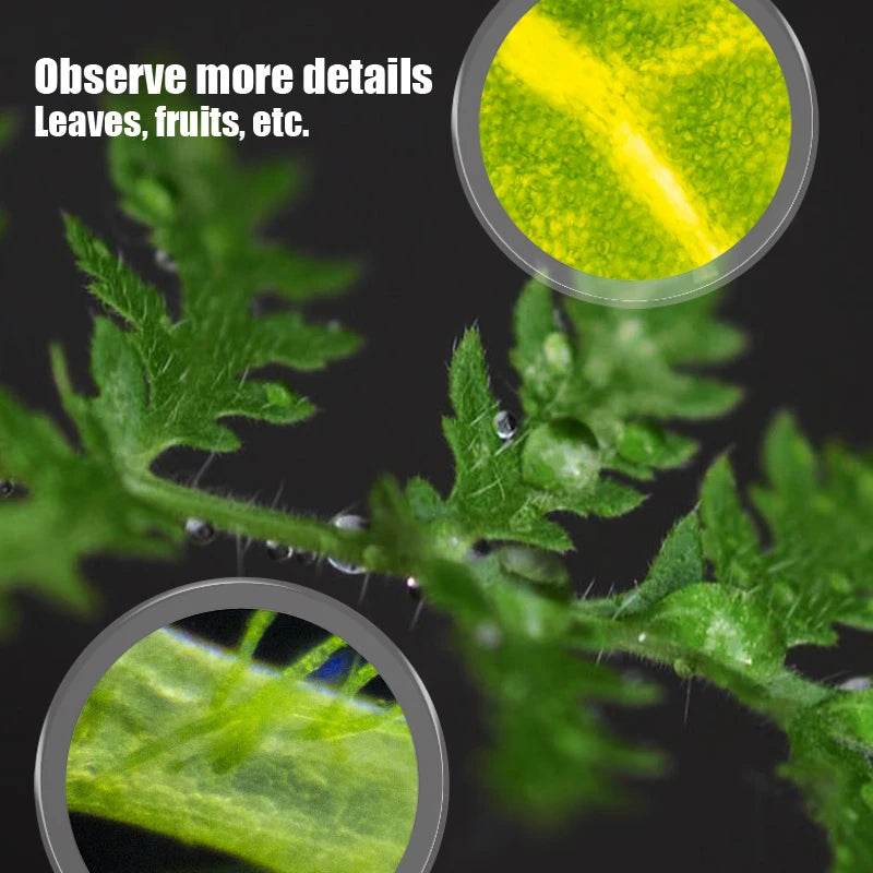 Children Science Biological 200x 600x 1200x Pocket Microscope Set Lab With LED Refined Instruments Montessori Education Toy - ToylandEU