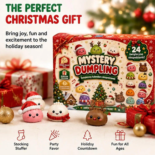 Christmas Fidget Calendar | 24 Day Countdown | Toylandeu™