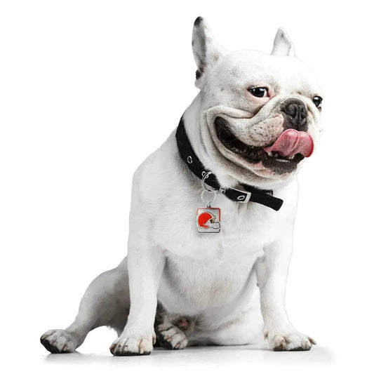  Cleveland Browns Pet Collar Charm Engravable ID Tag -  ToylandEU™