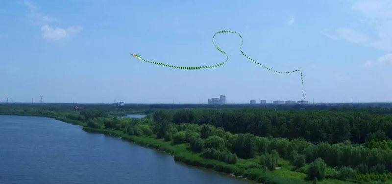 Cobra Kite Adventure - Premium Snake Design for Thrilling Flights - ToylandEU