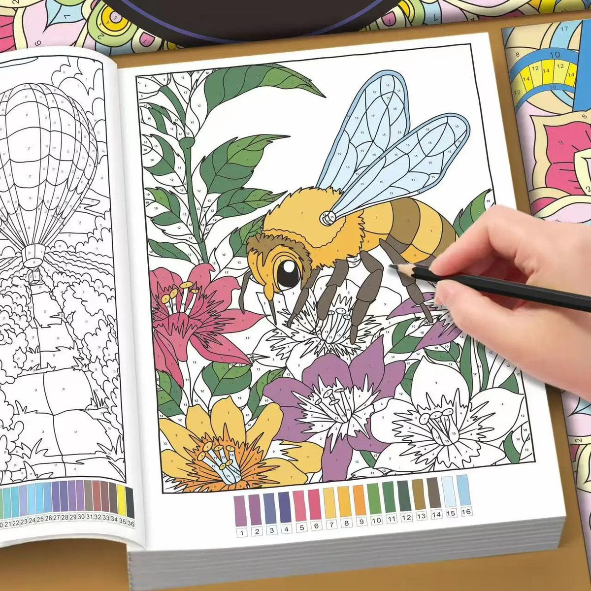 Color By Number Book | 32 Page Adult Art | Toylandeu™