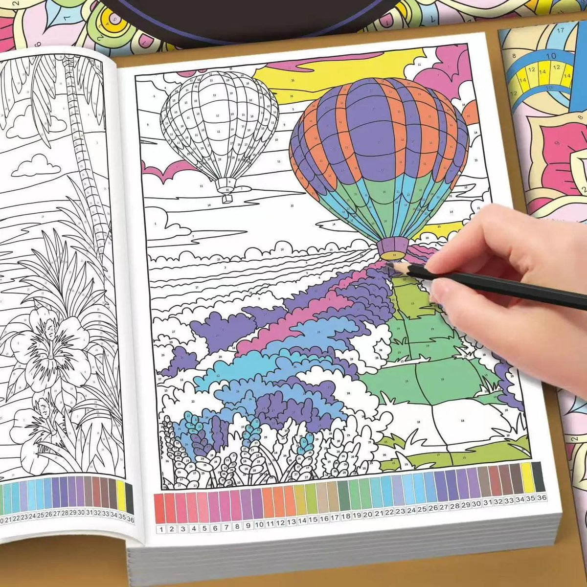 Color By Number Book | 32 Page Adult Art | Toylandeu™