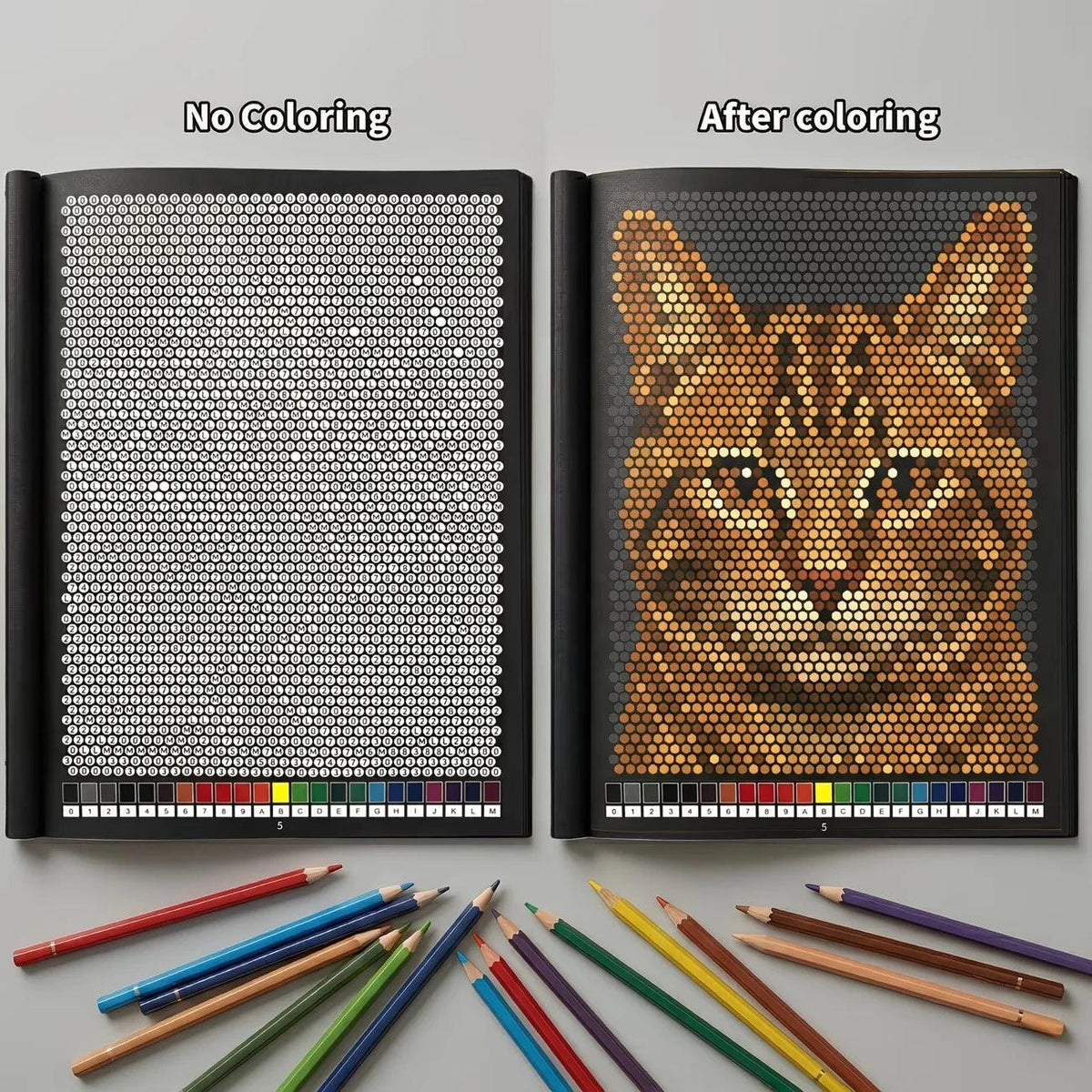 Color By Number Coloring Book | 32 Pages | Toylandeu™