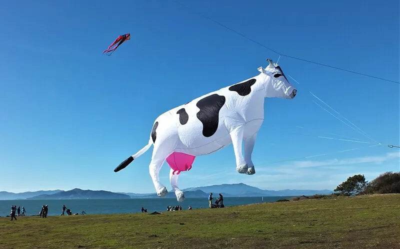 Colorful 3m Inflatable Cow Kite Line Laundry - Sky Fun Accessory - ToylandEU