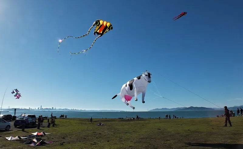 Colorful 3m Inflatable Cow Kite Line Laundry - Sky Fun Accessory - ToylandEU