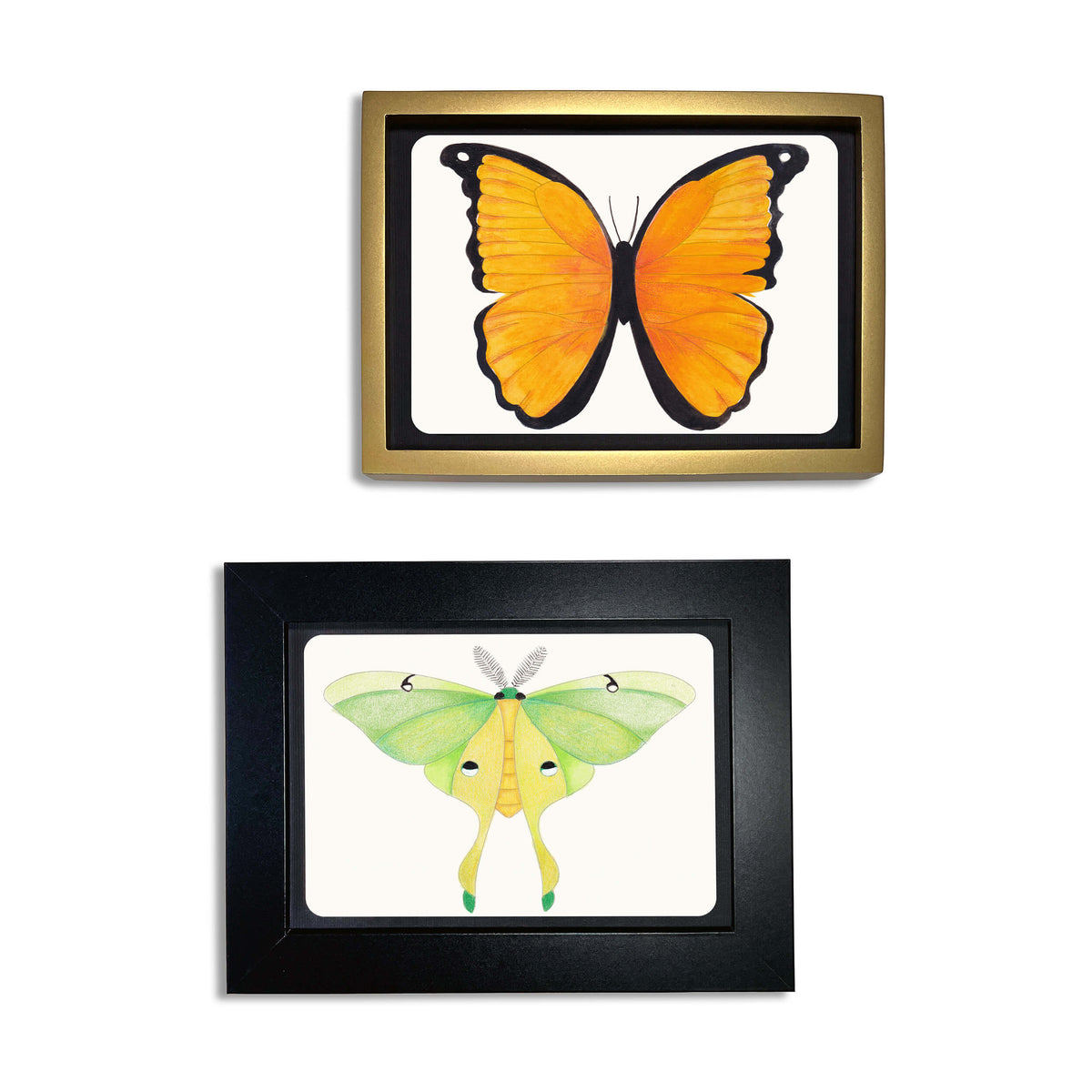 Coloring Postcards with Tin Storage | 30 Seasonal Cards | Toylandeu™