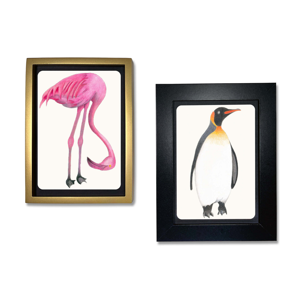 Coloring Postcards with Tin Storage | 30 Seasonal Cards | Toylandeu™