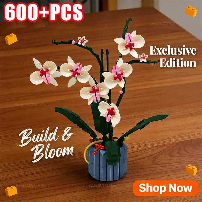 Creative DIY Orchid Building Kit For Gorgeous Home Decor - ToylandEU