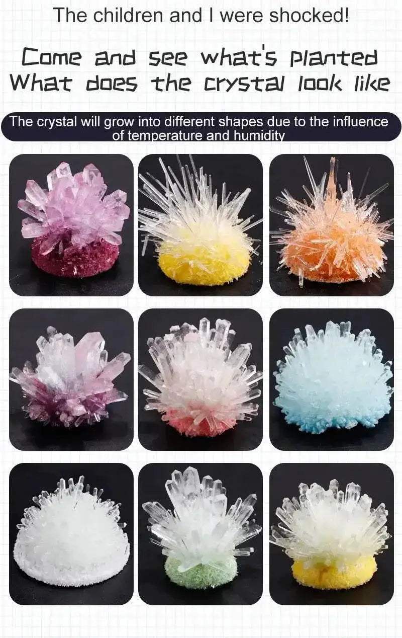 Crystal Planting Experiments Science and Education Toys DIY Growable Crystals Color Random Christmas and Halloween Gifts - ToylandEU