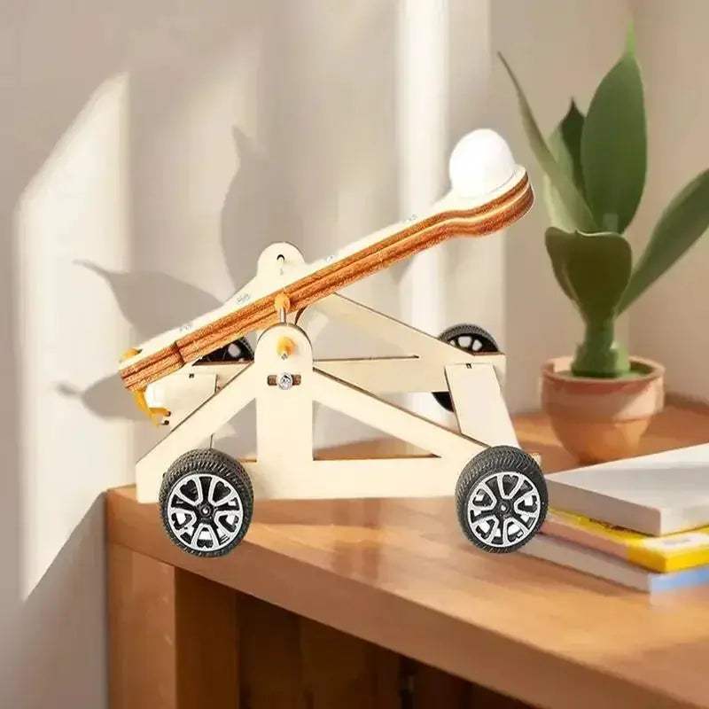 DIY Catapult Kit for Kids Hands On Physics Education - ToylandEU
