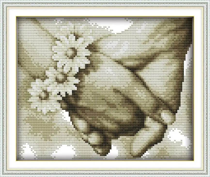 DIY Cross Stitch Embroidery Kits - 14CT & 11CT DMC Portrait Patterns for Home Decor - ToylandEU