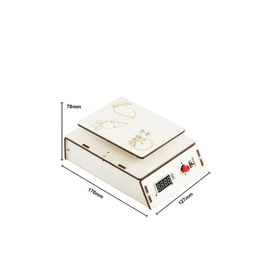  DIY Electronic Scale Model Science Toys for Kids Physics Kit -  ToylandEU™