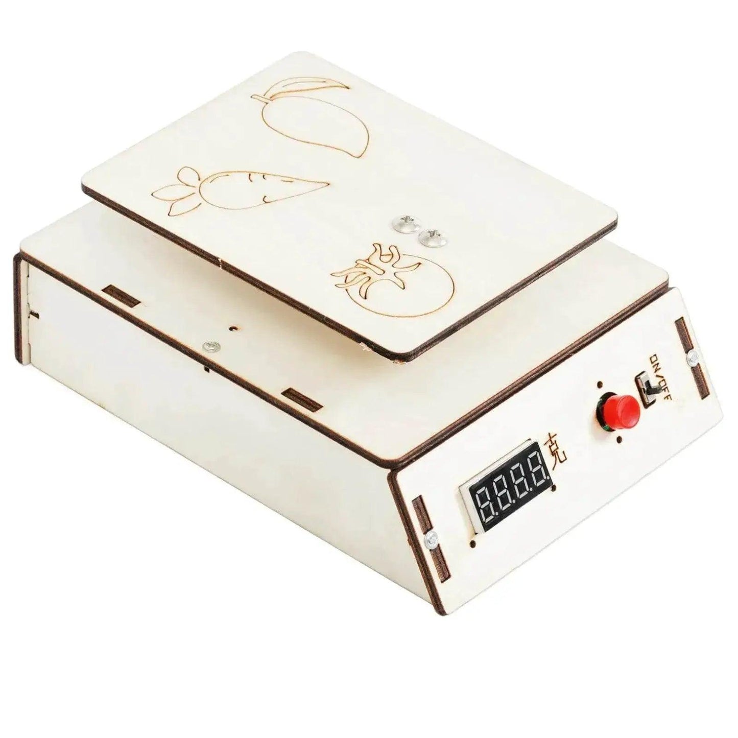  DIY Electronic Scale Model Science Toys for Kids Physics Kit -  ToylandEU™