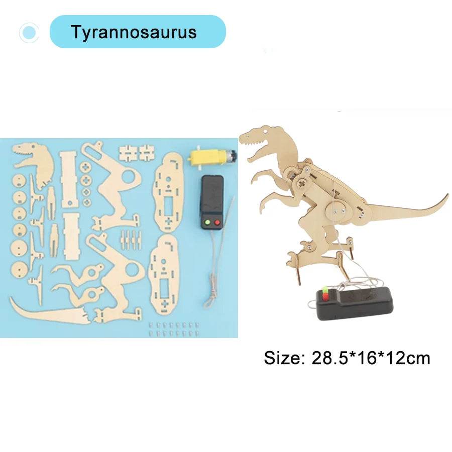 DIY Physical Model Science Experiment Educational Toy for Kids - ToylandEU