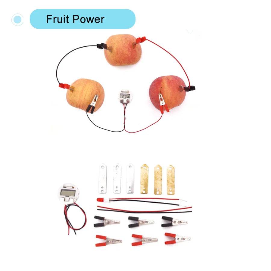 DIY Physical Model Science Experiment Educational Toy for Kids - ToylandEU