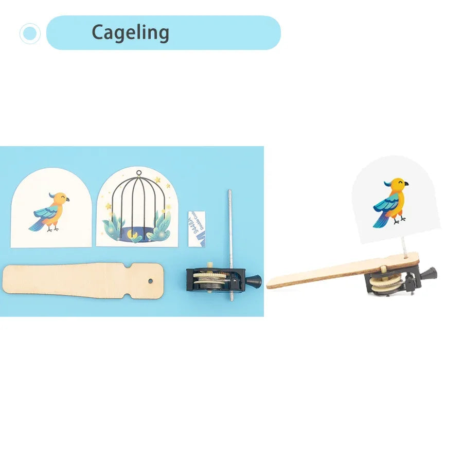 DIY STEM Science Kit for Kids Educational Model Building - ToylandEU