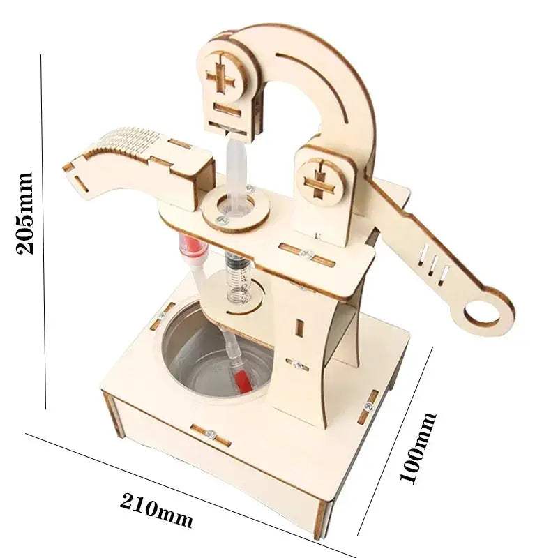 DIY Science Kit Wooden Model Hands On Learning Toy - ToylandEU