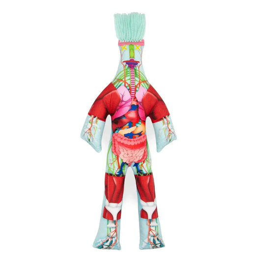  Dammit Anatomy Doll Cathartic Stress Relief Diagram -  ToylandEU™