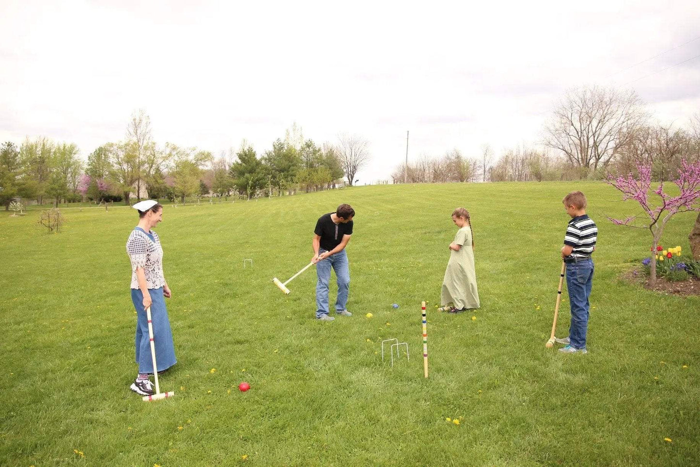 Deluxe 8-Player Croquet Game Set, Wooden Holder or Duffel Carry Bag - ToylandEU