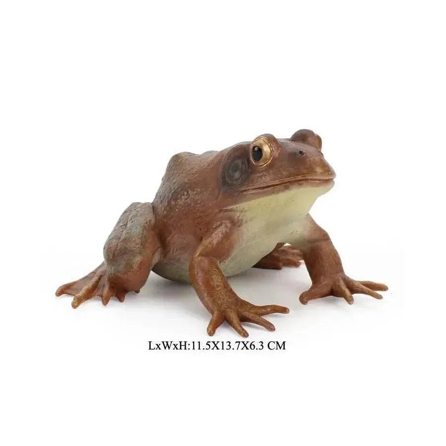  Deluxe Poison Dart Frog Mini Cake Topper Toyland EU -  ToylandEU™