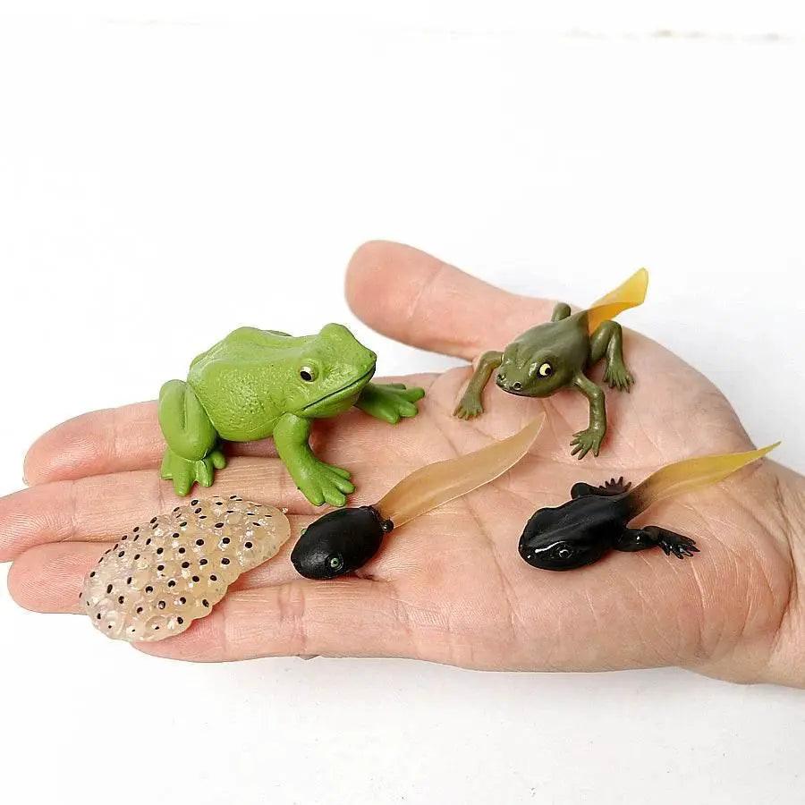  Deluxe Poison Dart Frog Mini Cake Topper Toyland EU -  ToylandEU™
