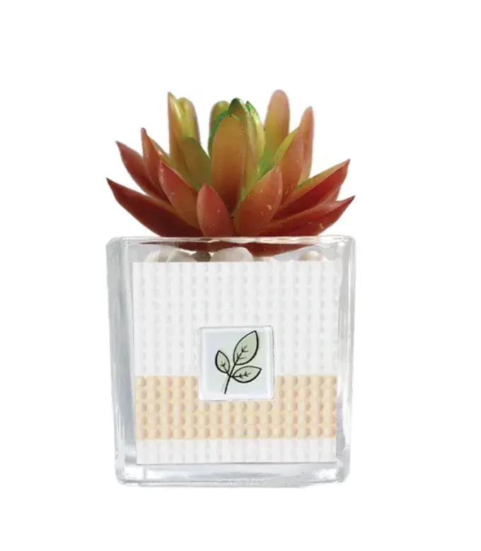 Diamond Art Plant Kit For Dazzling Glass Vase Project - ToylandEU